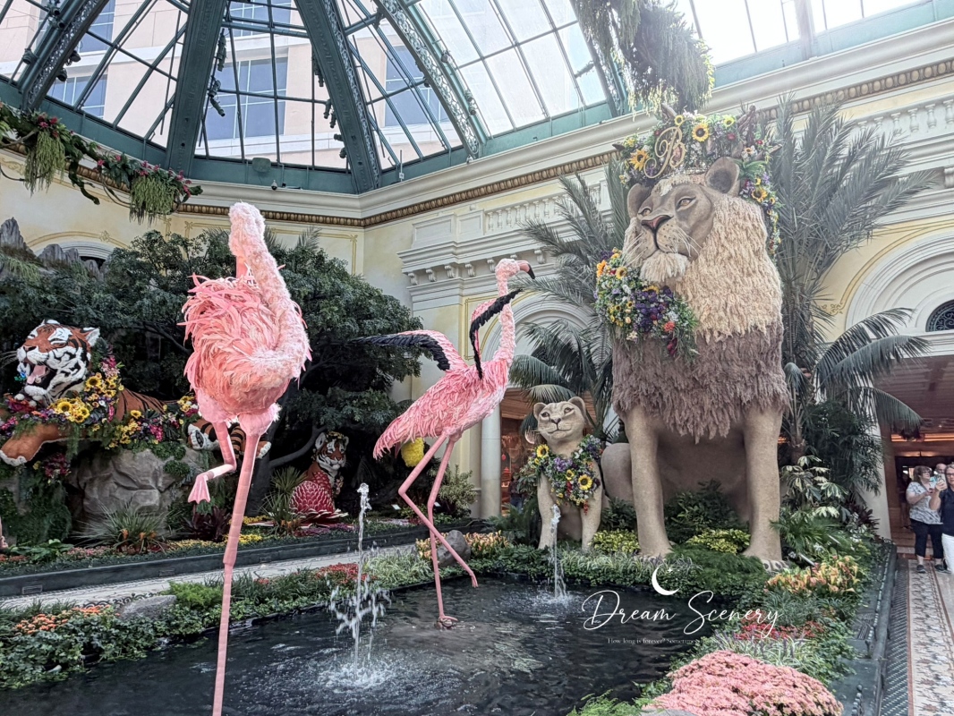 【美國-Las Vegas】Bellagio 花園 Summer 2026「Paradise」:走進沙漠中的熱帶天堂 - 第6張圖 【美國-Las Vegas】Bellagio 花園 Summer 2026「Paradise」:走進沙漠中的熱帶天堂