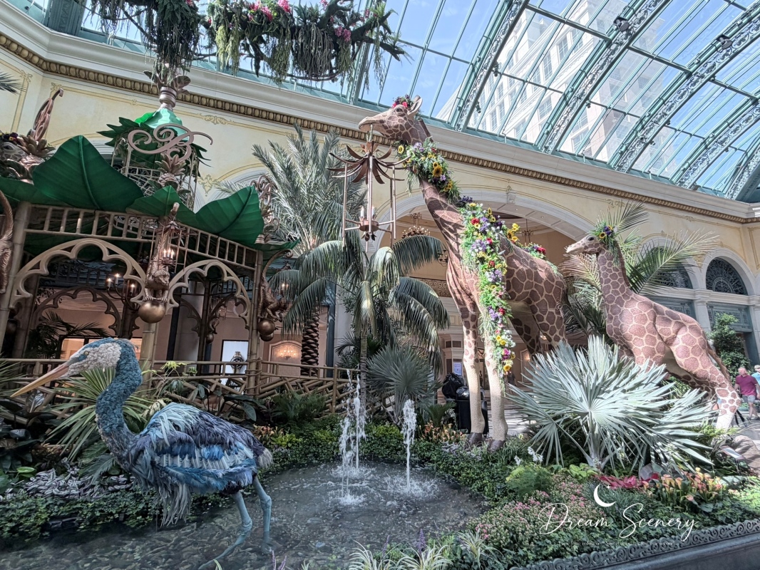 【美國-Las Vegas】Bellagio 花園 Summer 2026「Paradise」:走進沙漠中的熱帶天堂 - 第11張圖 【美國-Las Vegas】Bellagio 花園 Summer 2026「Paradise」:走進沙漠中的熱帶天堂