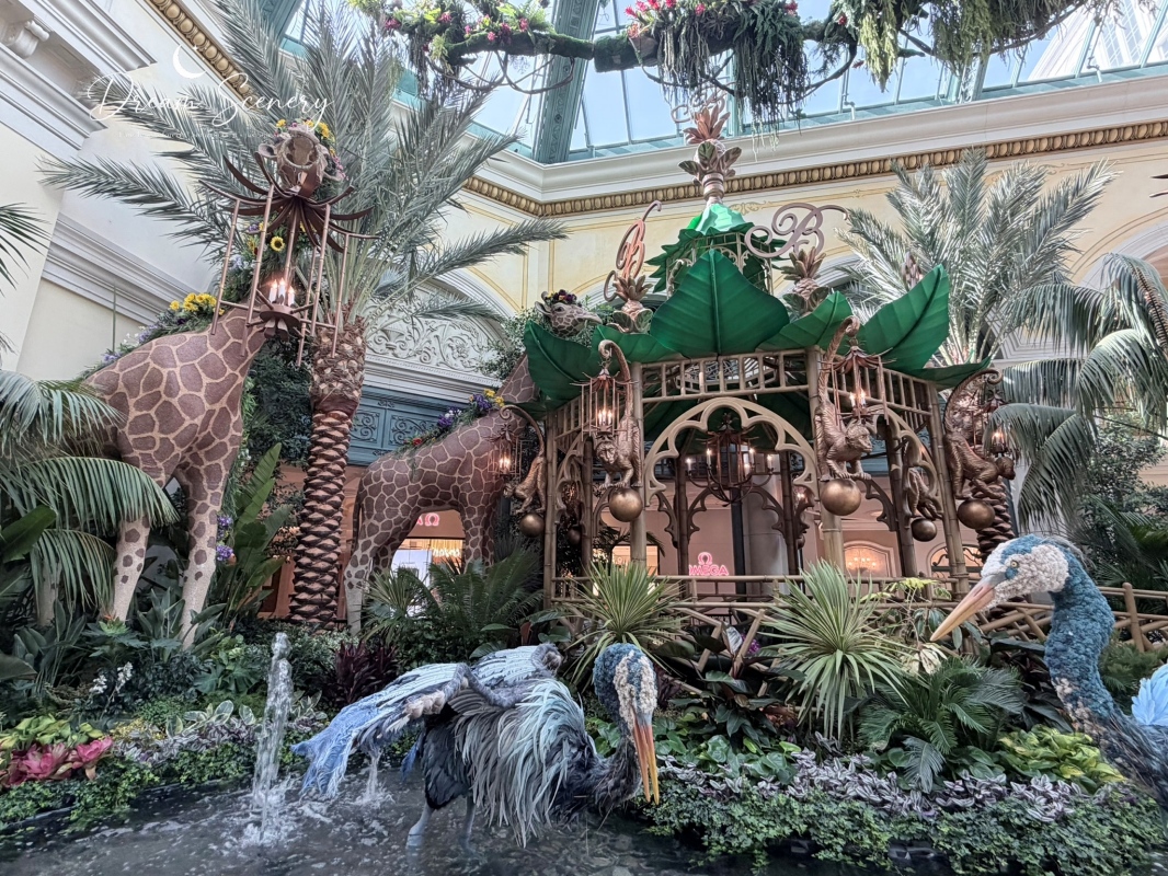 【美國-Las Vegas】Bellagio 花園 Summer 2026「Paradise」:走進沙漠中的熱帶天堂 - 第10張圖 【美國-Las Vegas】Bellagio 花園 Summer 2026「Paradise」:走進沙漠中的熱帶天堂